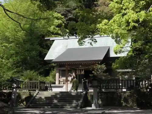 安房神社の本殿