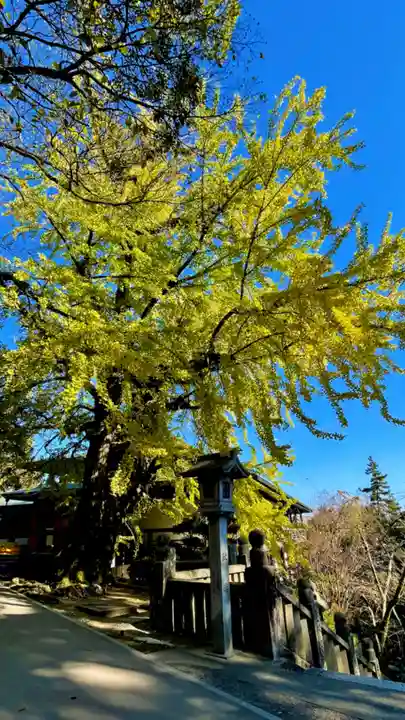 金刀比羅宮(香川県)