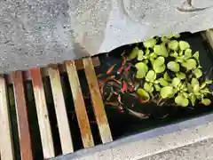 宇和津彦神社(愛媛県)