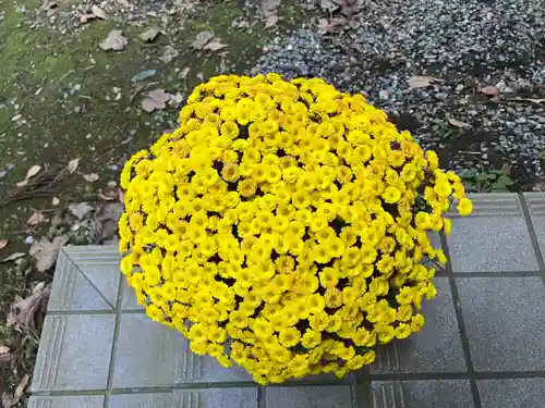 大宮温泉神社(栃木県)