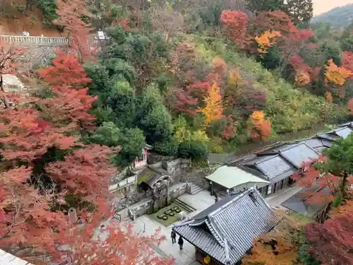 清水寺の景色