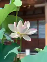 上行寺(静岡県)