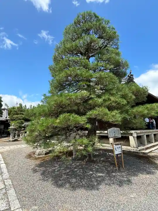 聖衆来迎寺(滋賀県)