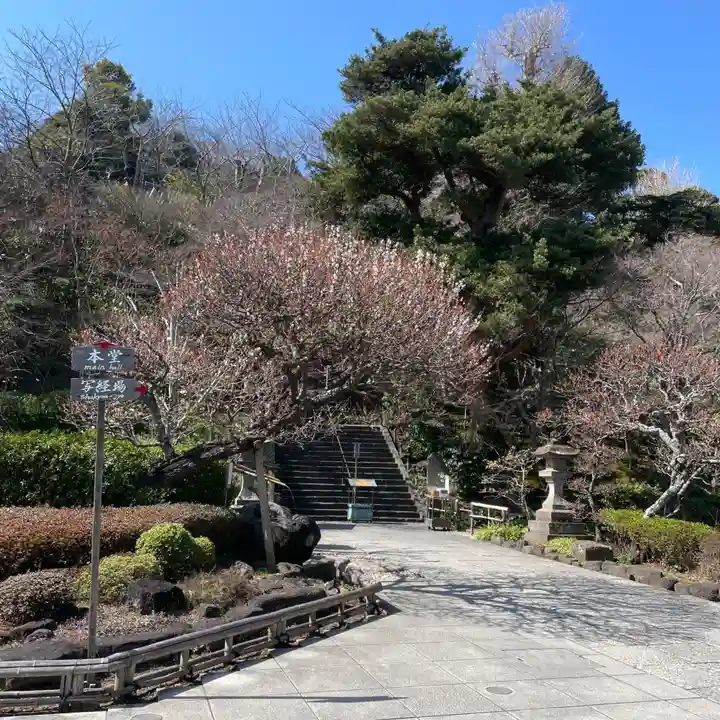 長谷寺の庭園