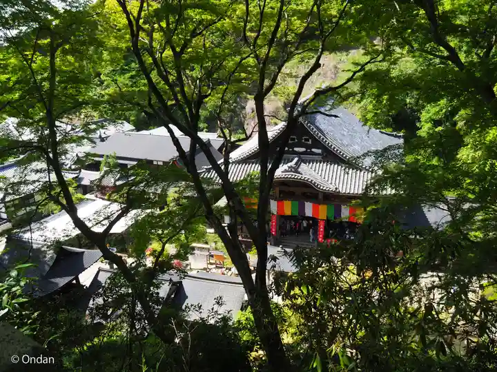 岡寺(龍蓋寺)(奈良県)