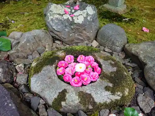 霊鑑寺門跡の手水舎