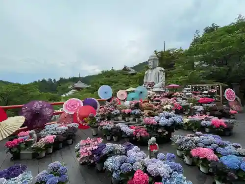 南法華寺（壷阪寺）(奈良県)