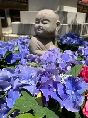 岡寺(龍蓋寺)(奈良県)