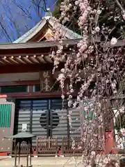 瀧泉寺（目黒不動尊）(東京都)