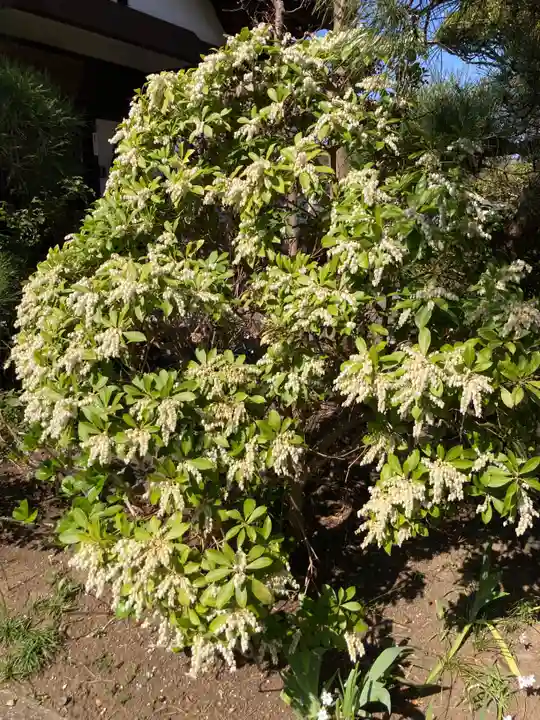 光照寺(神奈川県)
