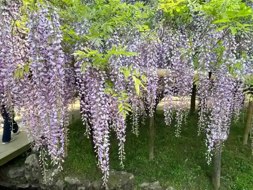 歌泉堂（春日大社神苑萬葉植物園内鎮座）(奈良県)