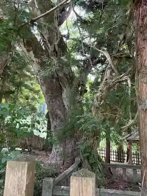 諏訪大社上社前宮(長野県)