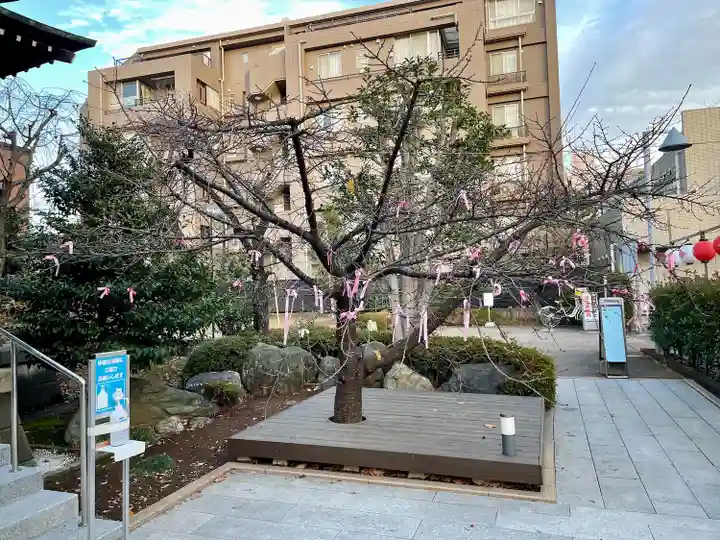 桜神宮(東京都)