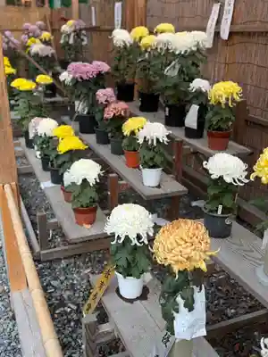 諏訪大社下社秋宮(長野県)