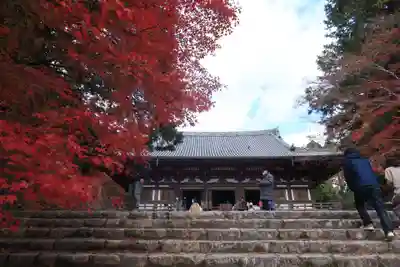 神護寺の本殿・本堂