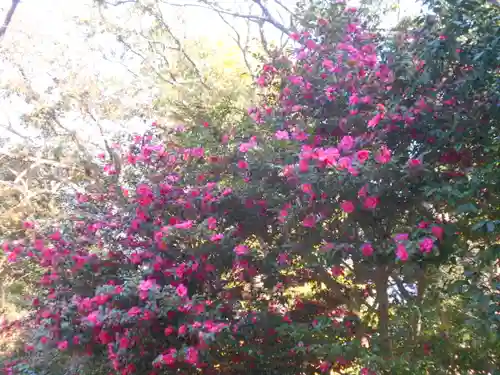 葛原岡神社の自然
