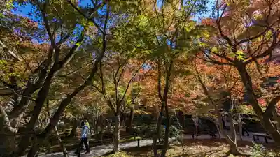 圓光寺(京都府)