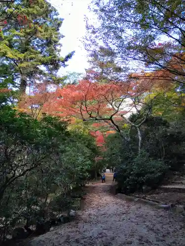 四宮神社の自然