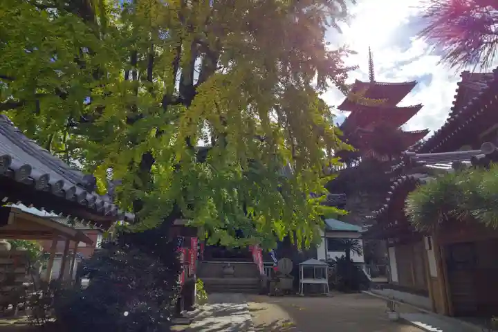 西光寺のその他建物