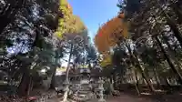 愛宕神社(滋賀県)