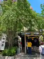 茶ノ木神社の本殿・本堂