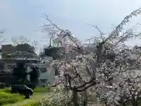 道成寺 奥の院観音堂の{uncategorized: "未分類", other: "その他", undefined: "問題あり", building: "その他建物", grave: "お墓", sacred_gate: "鳥居", guardian: "狛犬", statue: "像", buddha: "仏像", history: "歴史", nature: "自然", garden: "庭園", animal: "動物", pagoda: "塔", temizu: "手水舎", mountain_gate: "山門・神門", sanctuary: "本殿・本堂", subordinate: "末社・摂社", art: "芸術", scenery: "景色", jizo: "地蔵", ema: "絵馬", goshuin: "御朱印", omikuji: "おみくじ", items: "授与品その他", amulet: "お守り", goshuincho: "御朱印帳", eats: "食事", festival: "お祭り", votive_dance: "神楽", shichigosan: "七五三参", wedding: "結婚式", experience: "体験その他", initially: "初詣", around: "周辺", anti_infection: "感染症対策"}