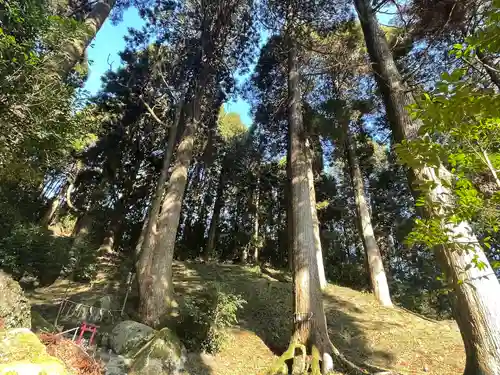 脊振神社(佐賀県)