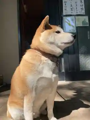笠䅣稲荷神社(神奈川県)