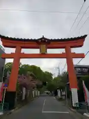 大宮八幡宮の鳥居