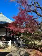 淨眞寺(東京都)