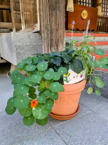 北海道神宮頓宮の庭園