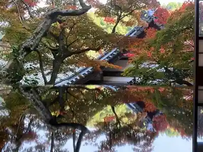 柳谷観音　楊谷寺(京都府)