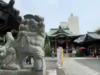 柏神社の狛犬