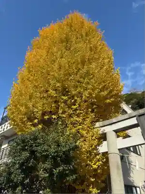 根岸八幡神社(神奈川県)