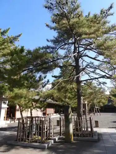 氣比神宮(福井県)