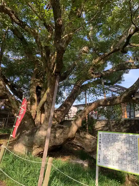 大智院(清水寺大智院)(愛知県)