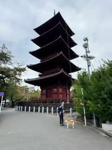 池上本門寺の{uncategorized: "未分類", other: "その他", undefined: "問題あり", building: "その他建物", grave: "お墓", sacred_gate: "鳥居", guardian: "狛犬", statue: "像", buddha: "仏像", history: "歴史", nature: "自然", garden: "庭園", animal: "動物", pagoda: "塔", temizu: "手水舎", mountain_gate: "山門・神門", sanctuary: "本殿・本堂", subordinate: "末社・摂社", art: "芸術", scenery: "景色", jizo: "地蔵", ema: "絵馬", goshuin: "御朱印", omikuji: "おみくじ", items: "授与品その他", amulet: "お守り", goshuincho: "御朱印帳", eats: "食事", festival: "お祭り", votive_dance: "神楽", shichigosan: "七五三参", wedding: "結婚式", experience: "体験その他", initially: "初詣", around: "周辺", anti_infection: "感染症対策"}
