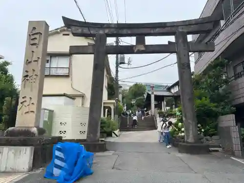 白山神社(東京都)