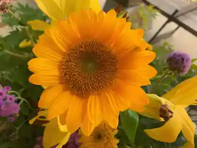 滑川神社 - 仕事と子どもの守り神の手水舎