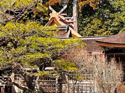 小國神社の本殿