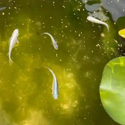 伊勢の国 四天王寺(三重県)