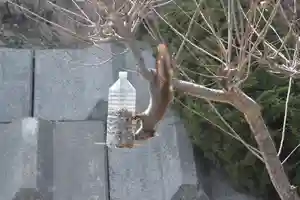 宝光寺(北海道)(2026年04月12日(日) 13時39分10秒投稿)