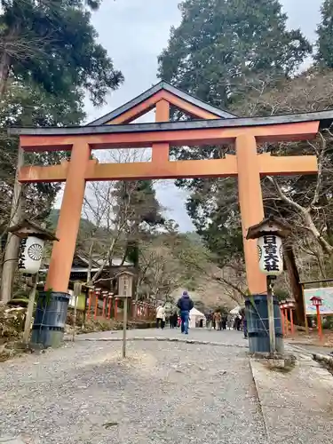 日吉大社の鳥居