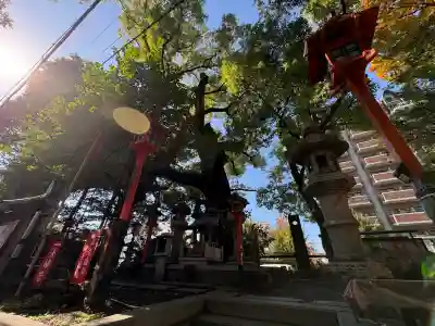 若一神社(京都府)