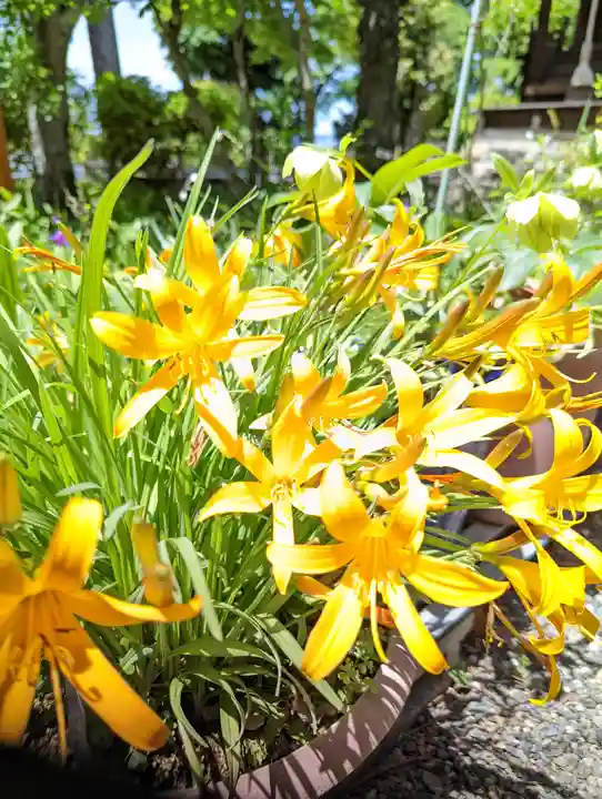 惠心院(京都府)