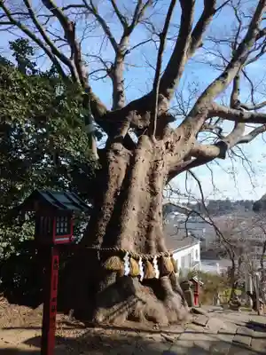 常陸第三宮 吉田神社(茨城県)