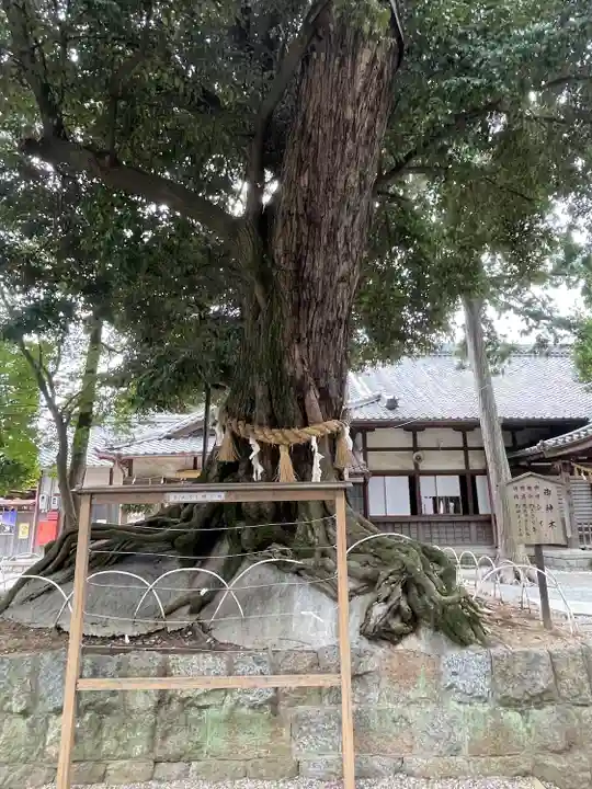 豊川進雄神社(愛知県)