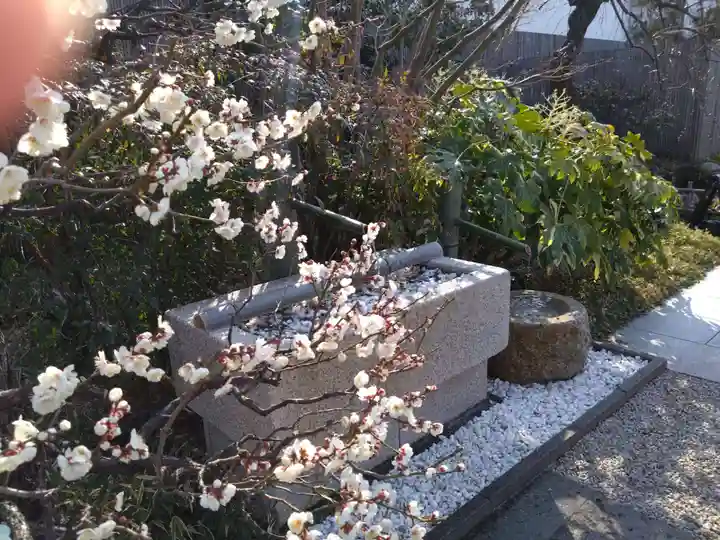 鉄道神社の自然