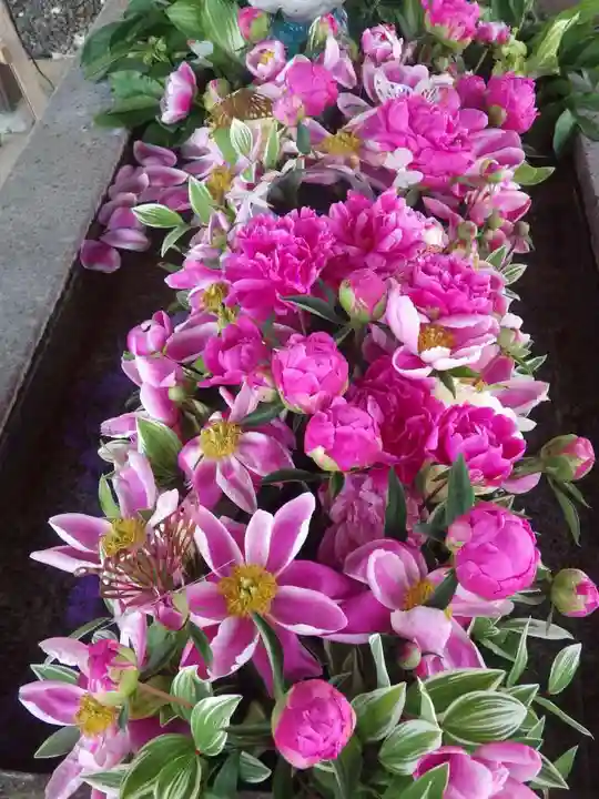 西宮八幡宮(山口県)