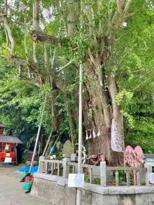 海南神社(神奈川県)